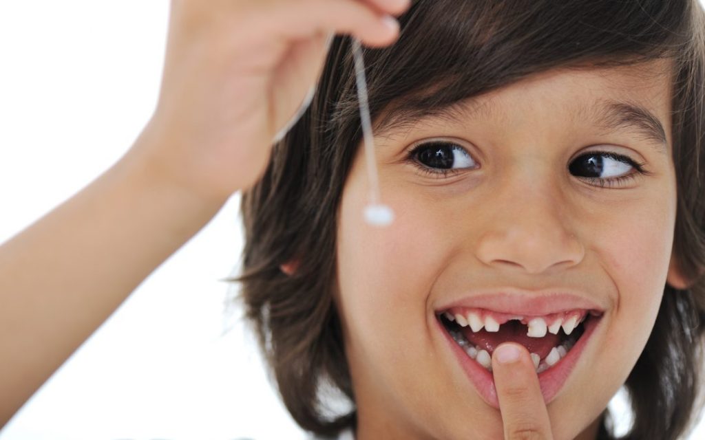 How Children’s Teeth Erupt and Fall Out